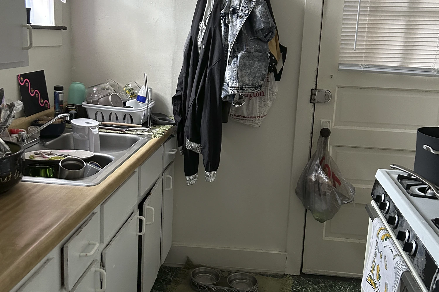 3843 N Greenview Ave Apt 2, Chicago IL properties 3839-45-n-greenview-chicago-il-60613-lake-view 3843-2