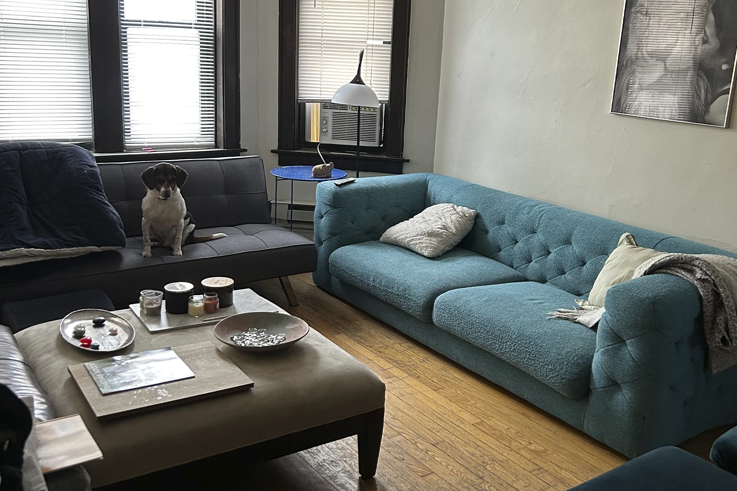 3843 N Greenview Ave Apt 2, Chicago IL properties 3839-45-n-greenview-chicago-il-60613-lake-view 3843-2