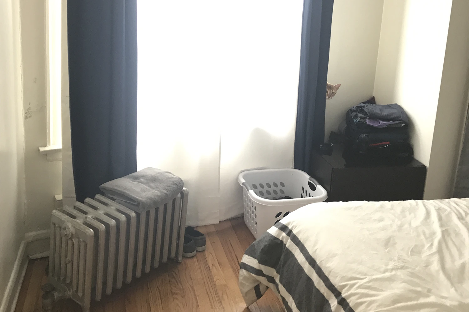 4216 N Clark St Apt 2, Chicago IL properties 4216-26-n-clark-st-chicago-il-60613-lake-view 4216-2