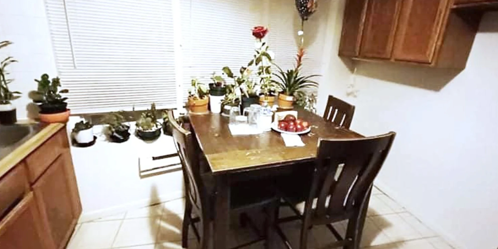 4226 N Clark St Apt 5-GDN, Chicago IL properties 4216-26-n-clark-st-chicago-il-60613-lake-view 4226-5-gdn