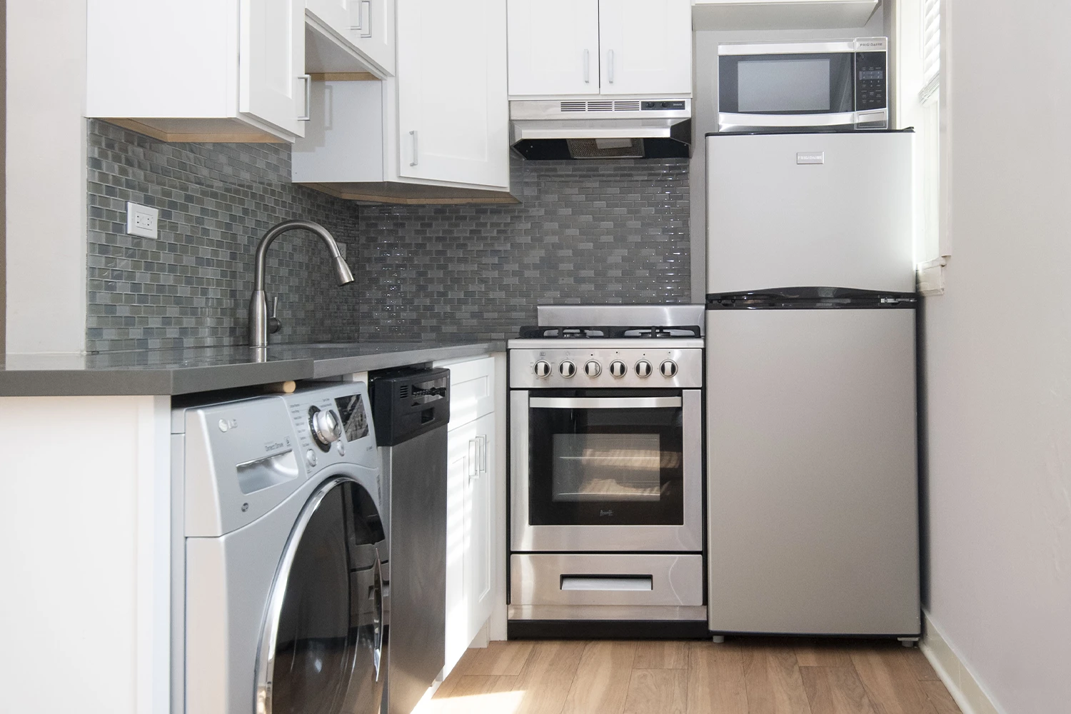 511 W Belmont Ave Apt 1, Chicago IL properties 511-w-belmont-chicago-il-60657-lake-view 511-1