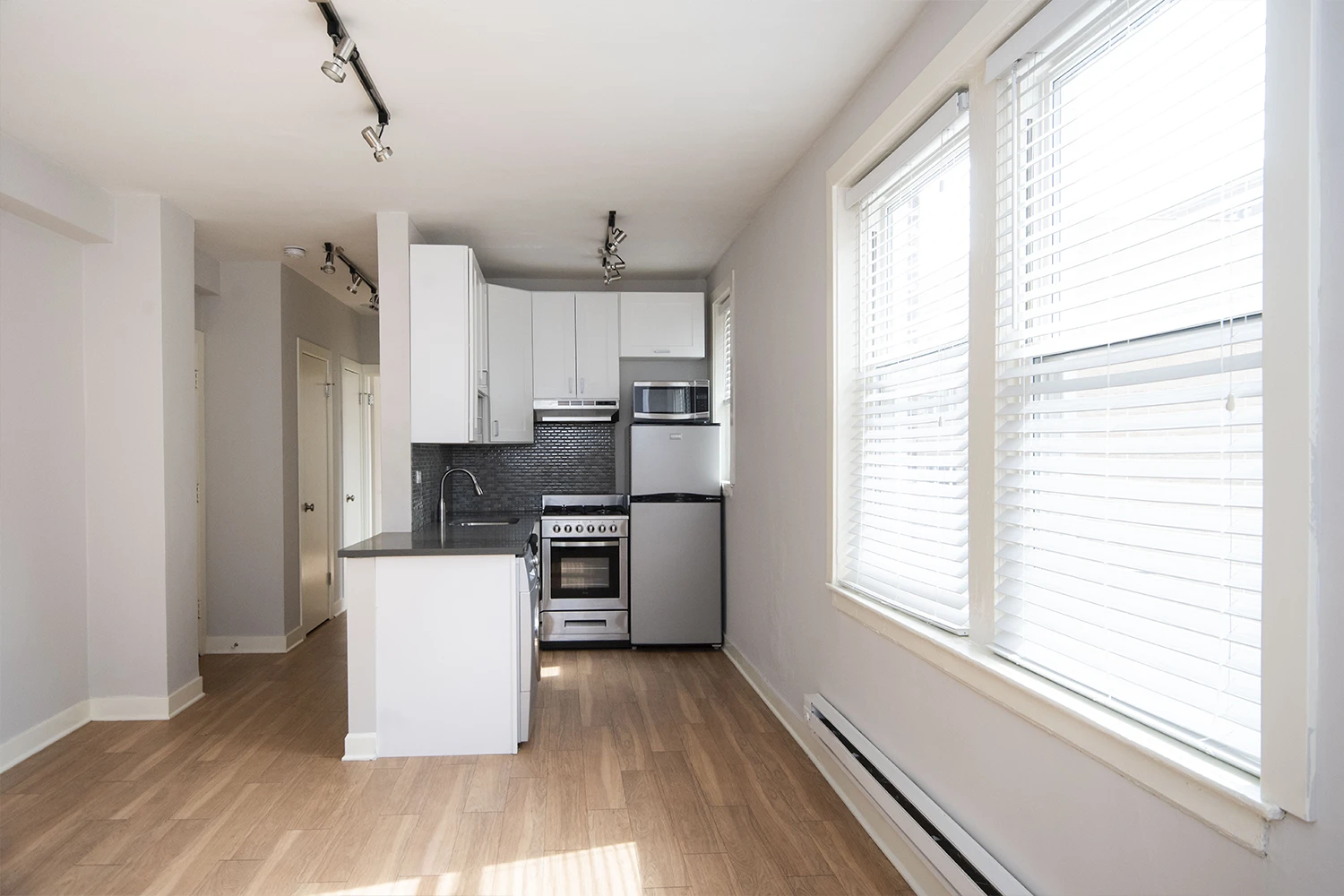 511 W Belmont Ave Apt 1, Chicago IL properties 511-w-belmont-chicago-il-60657-lake-view 511-1