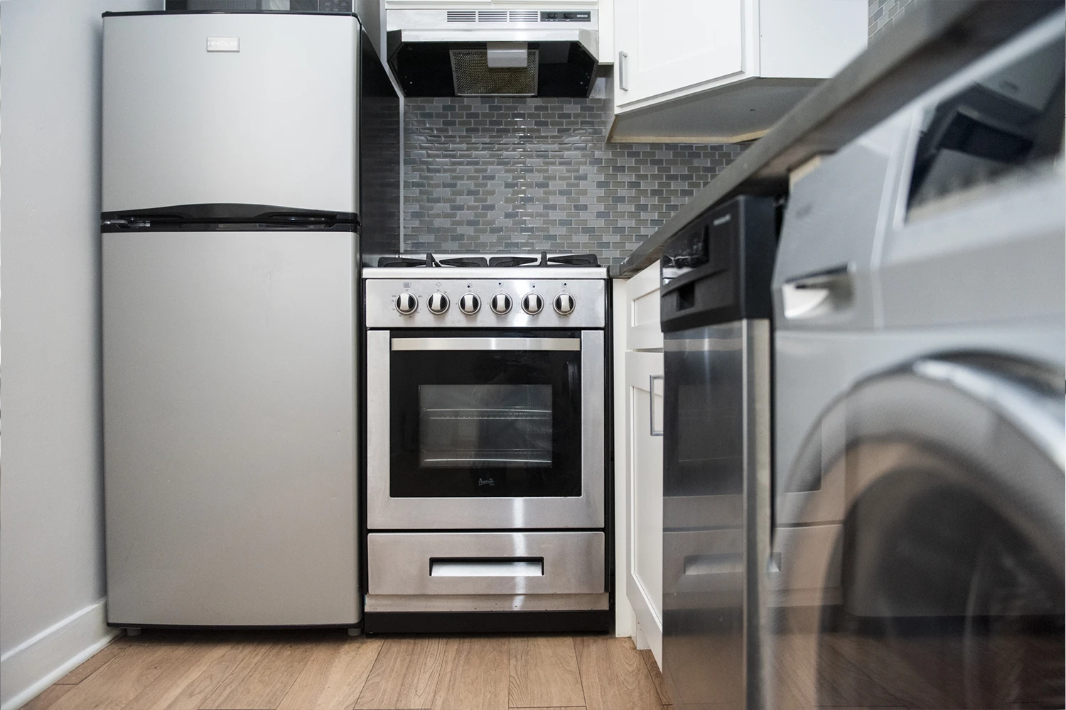 511 W Belmont Ave Apt 3, Chicago IL properties 511-w-belmont-chicago-il-60657-lake-view 511-3