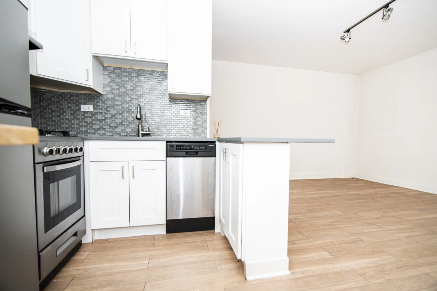 511 W Belmont Ave Apt 38, Chicago IL properties 511-w-belmont-chicago-il-60657-lake-view 511-38