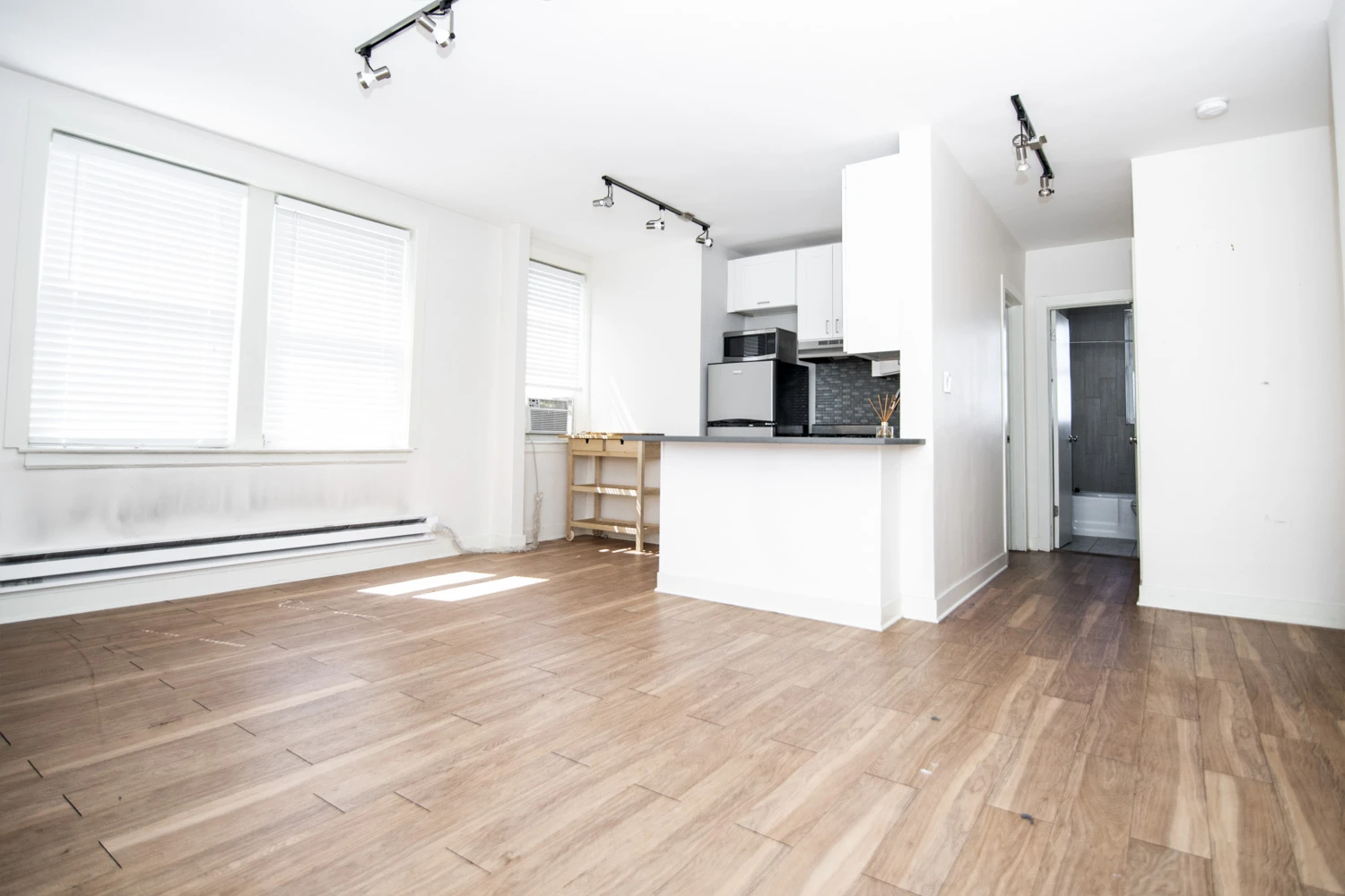 511 W Belmont Ave Apt 38, Chicago IL properties 511-w-belmont-chicago-il-60657-lake-view 511-38