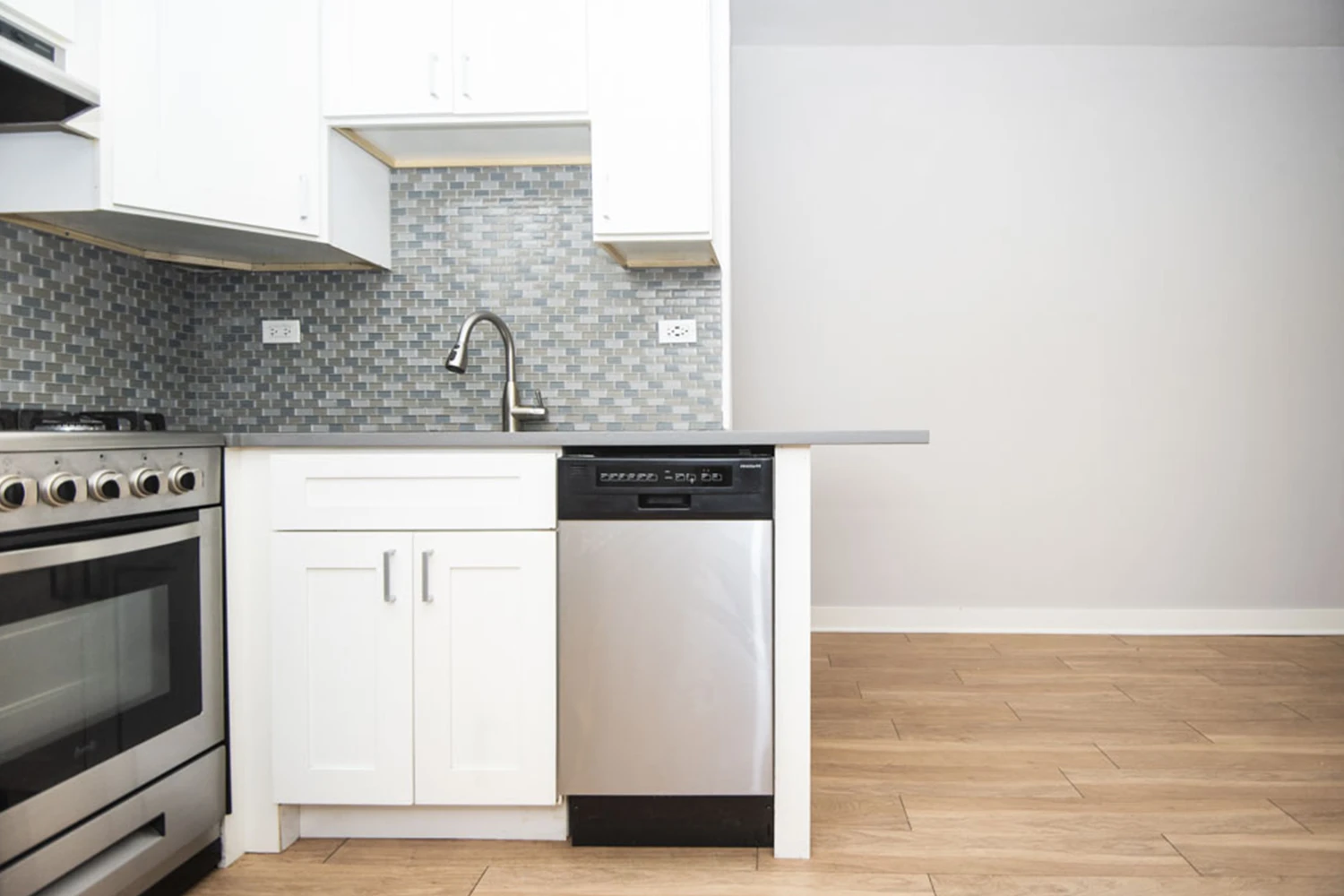 511 W Belmont Ave Apt 4, Chicago IL properties 511-w-belmont-chicago-il-60657-lake-view 511-4