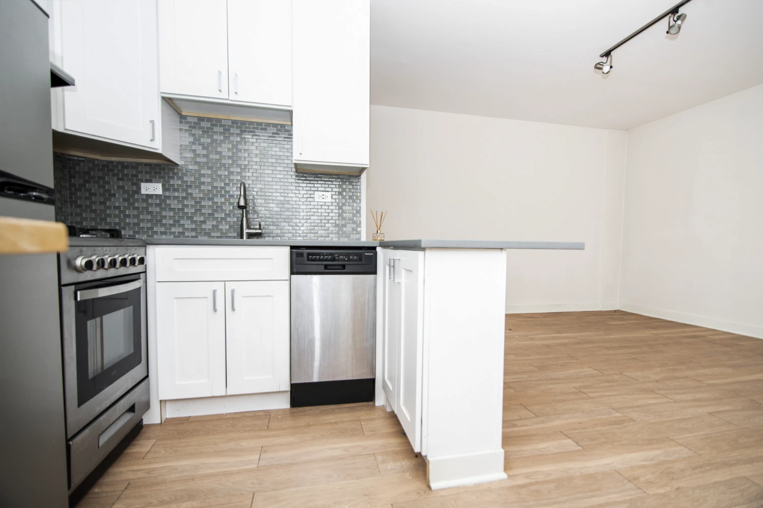 511 W Belmont Ave Apt 48, Chicago IL properties 511-w-belmont-chicago-il-60657-lake-view 511-48