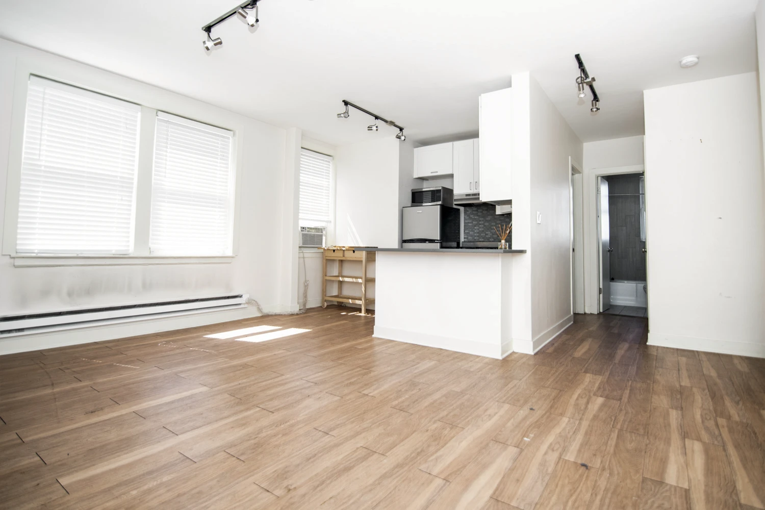 511 W Belmont Ave Apt 48, Chicago IL properties 511-w-belmont-chicago-il-60657-lake-view 511-48