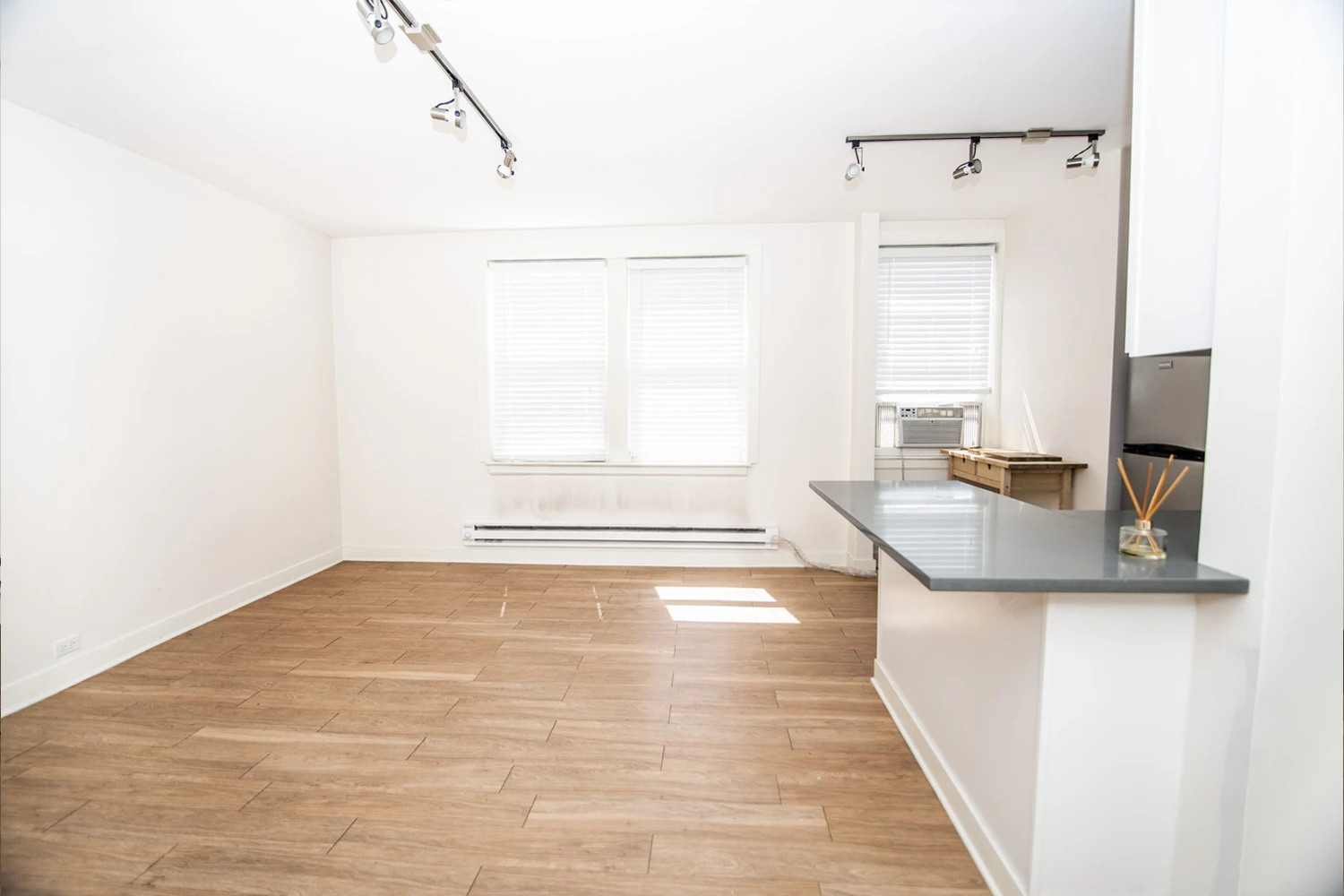 511 W Belmont Ave Apt 48, Chicago IL properties 511-w-belmont-chicago-il-60657-lake-view 511-48