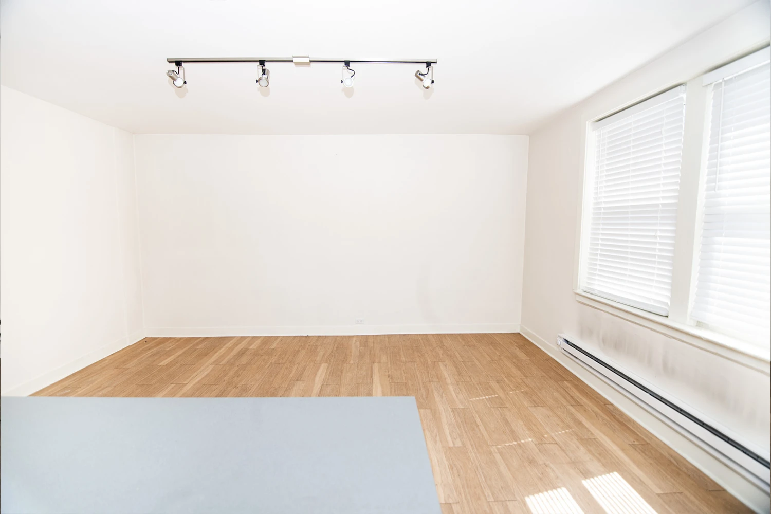 511 W Belmont Ave Apt 48, Chicago IL properties 511-w-belmont-chicago-il-60657-lake-view 511-48