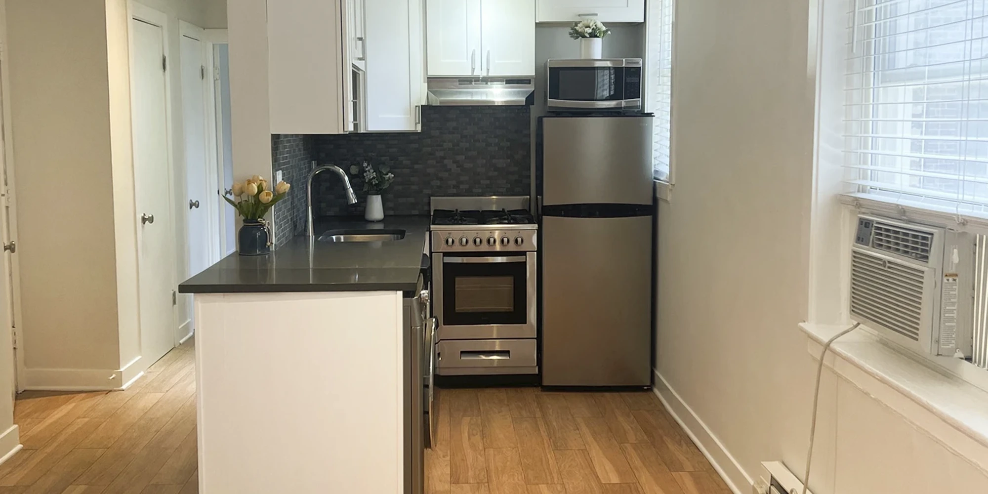 511 W Belmont Ave Apt 7, Chicago IL properties 511-w-belmont-chicago-il-60657-lake-view 511-7