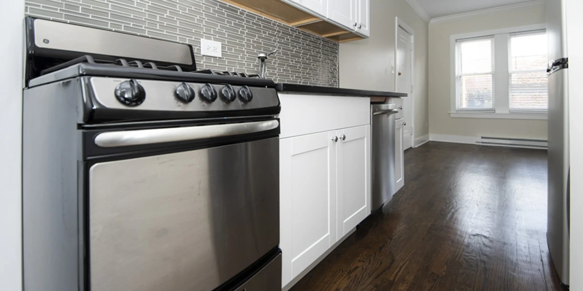 646 W Roscoe St Apt 2S, Chicago IL properties 646-48-w-roscoe-chicago-il-60657-lake-view 646-2s   