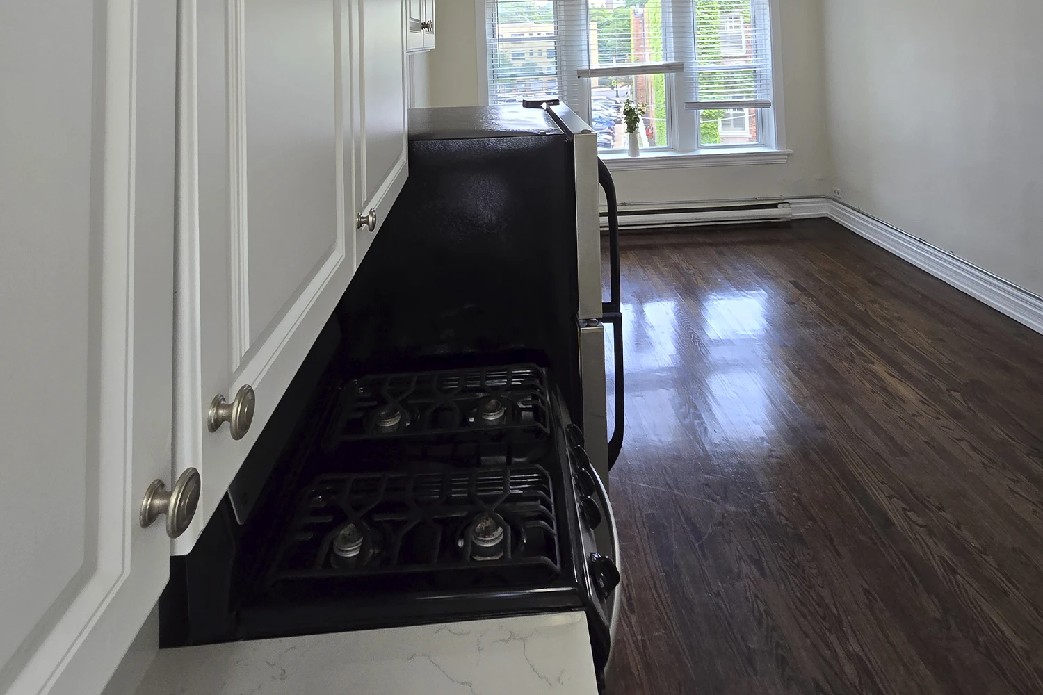 646 W Roscoe St Apt 3S, Chicago IL properties 646-48-w-roscoe-chicago-il-60657-lake-view 646-3s