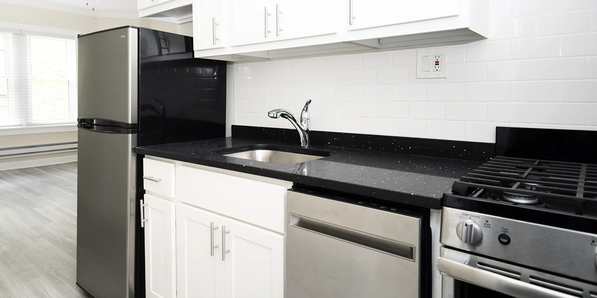 646.5 W Roscoe St Apt 1S, Chicago IL properties 646-48-w-roscoe-chicago-il-60657-lake-view 646-5-1s