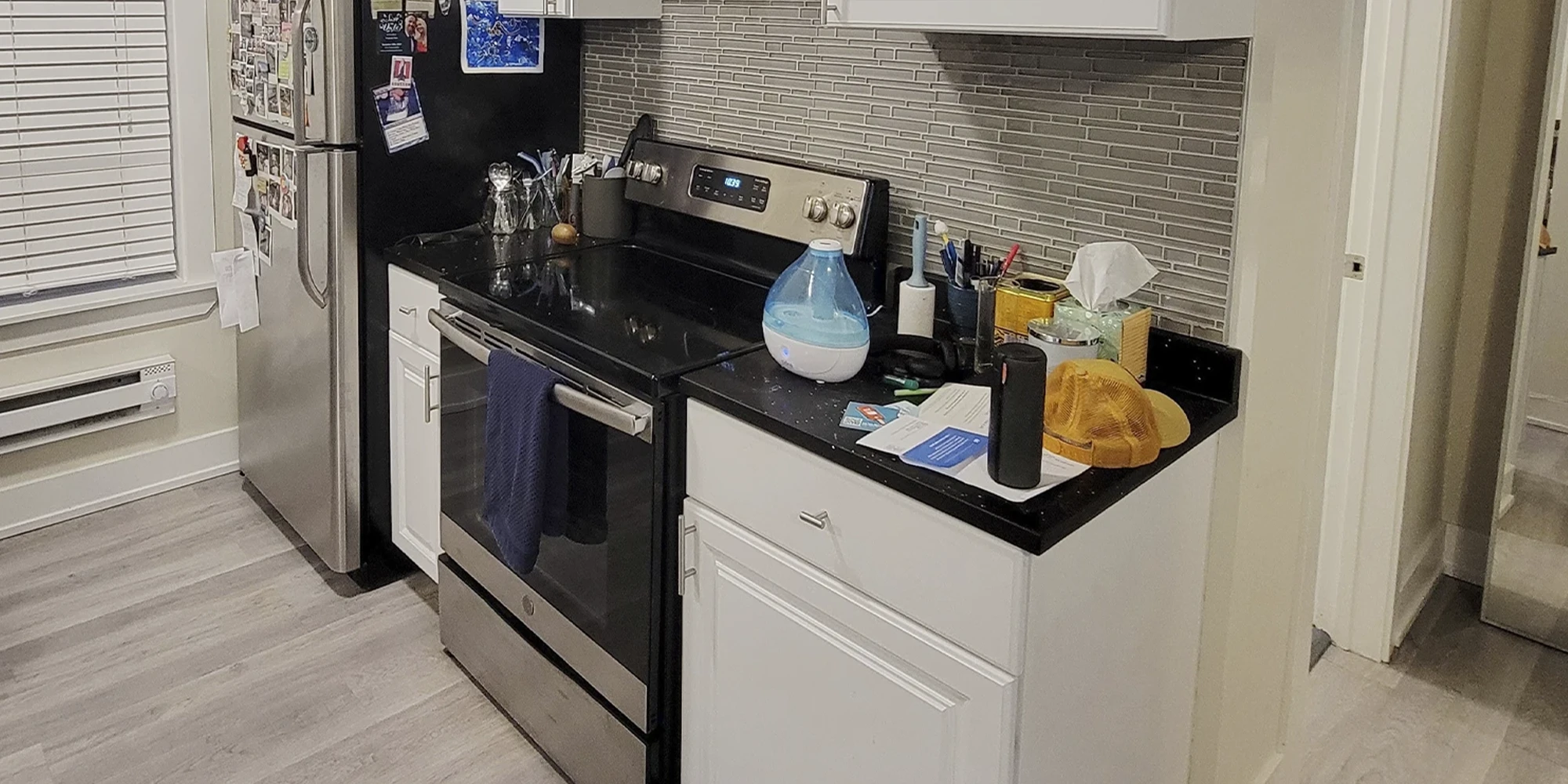 648 W Roscoe St Apt 1N, Chicago IL properties 646-48-w-roscoe-chicago-il-60657-lake-view 648-1n
