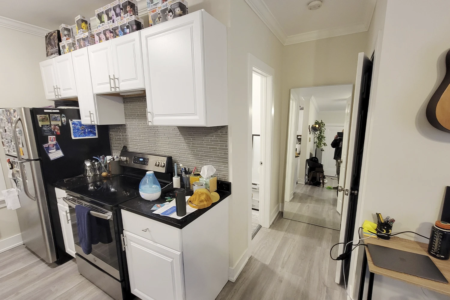 648 W Roscoe St Apt 1N, Chicago IL properties 646-48-w-roscoe-chicago-il-60657-lake-view 648-1n