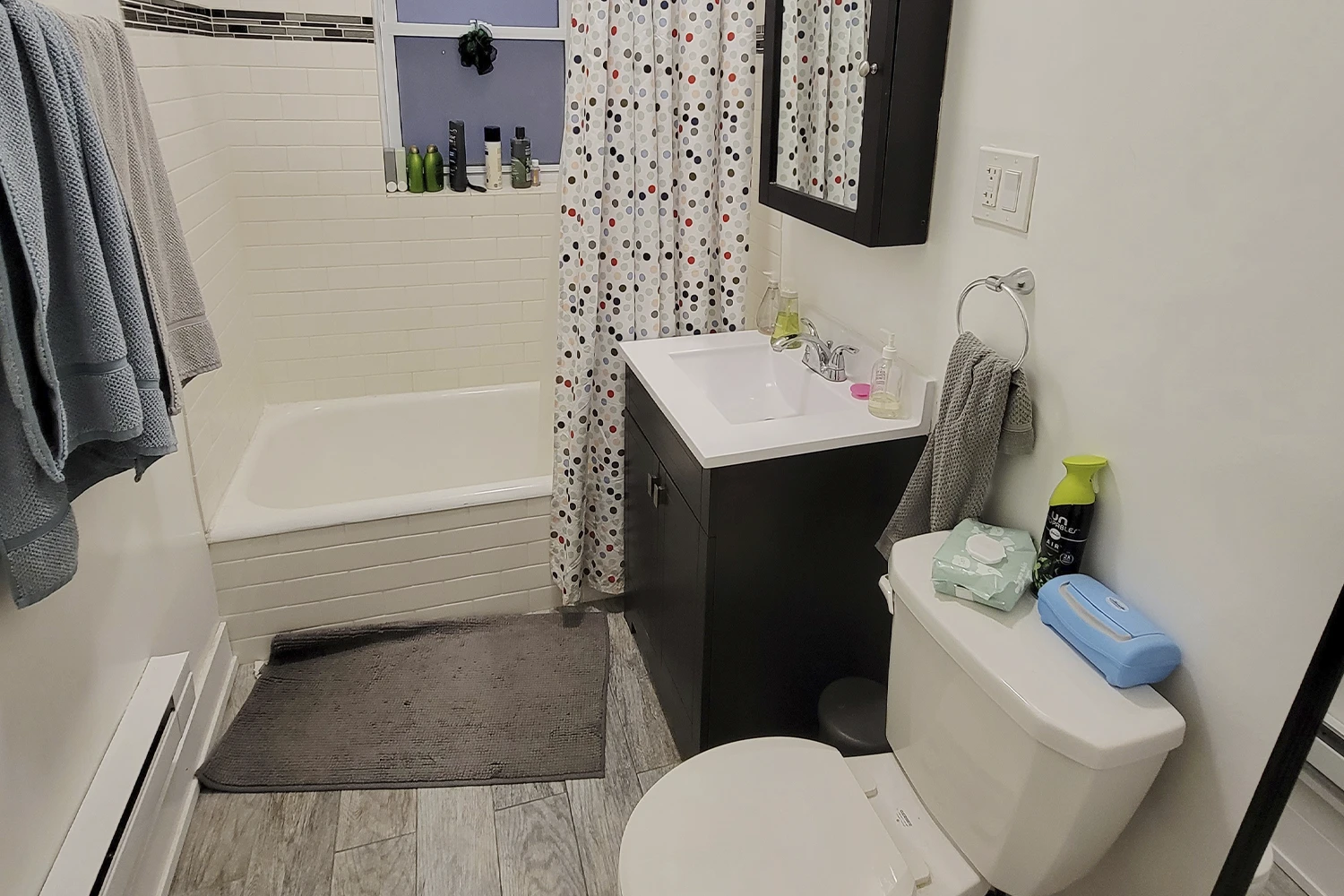 648 W Roscoe St Apt 1N, Chicago IL properties 646-48-w-roscoe-chicago-il-60657-lake-view 648-1n