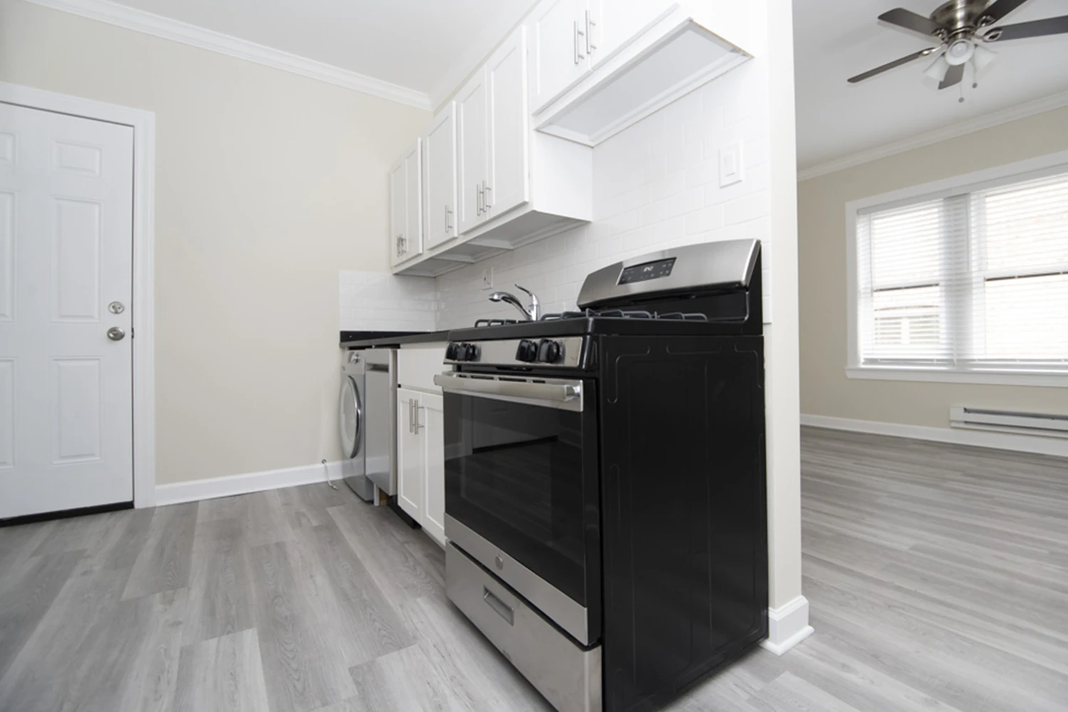 648 W Roscoe St Apt 3S, Chicago IL properties 646-48-w-roscoe-chicago-il-60657-lake-view 648-3s