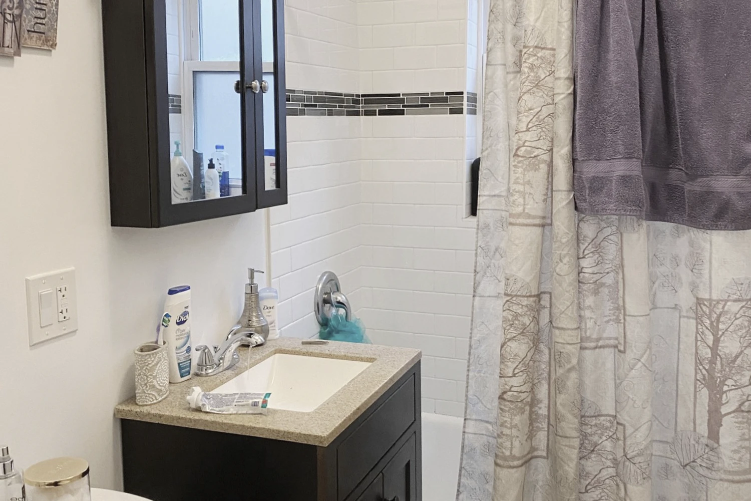 648.5 W Roscoe St Apt 3S, Chicago IL properties 646-48-w-roscoe-chicago-il-60657-lake-view 648-5-3s