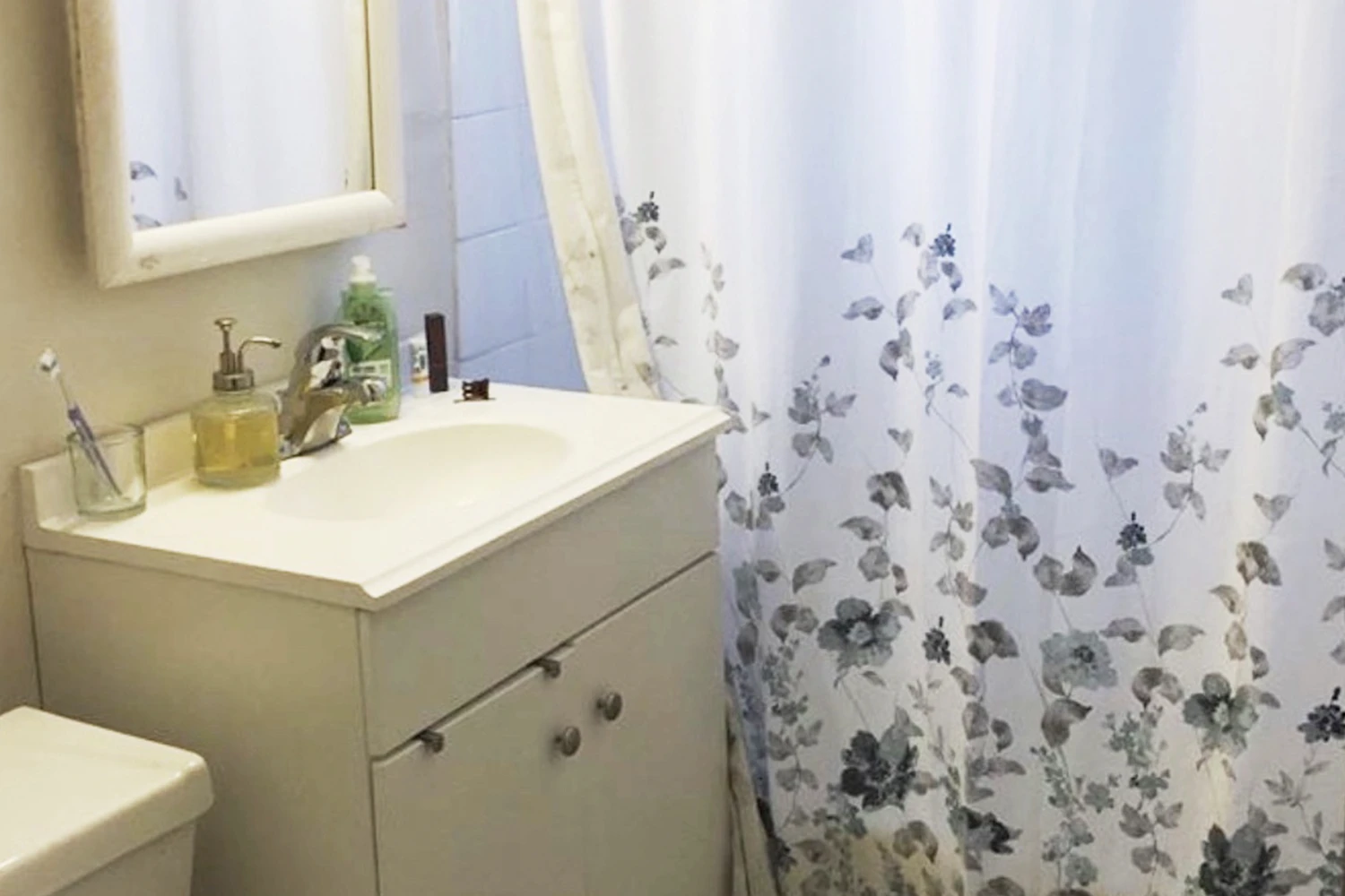 728 W Roscoe St Apt 3E, Chicago IL properties 724-32-w-roscoe-st-chicago-il-60657-lake-view 728-3e