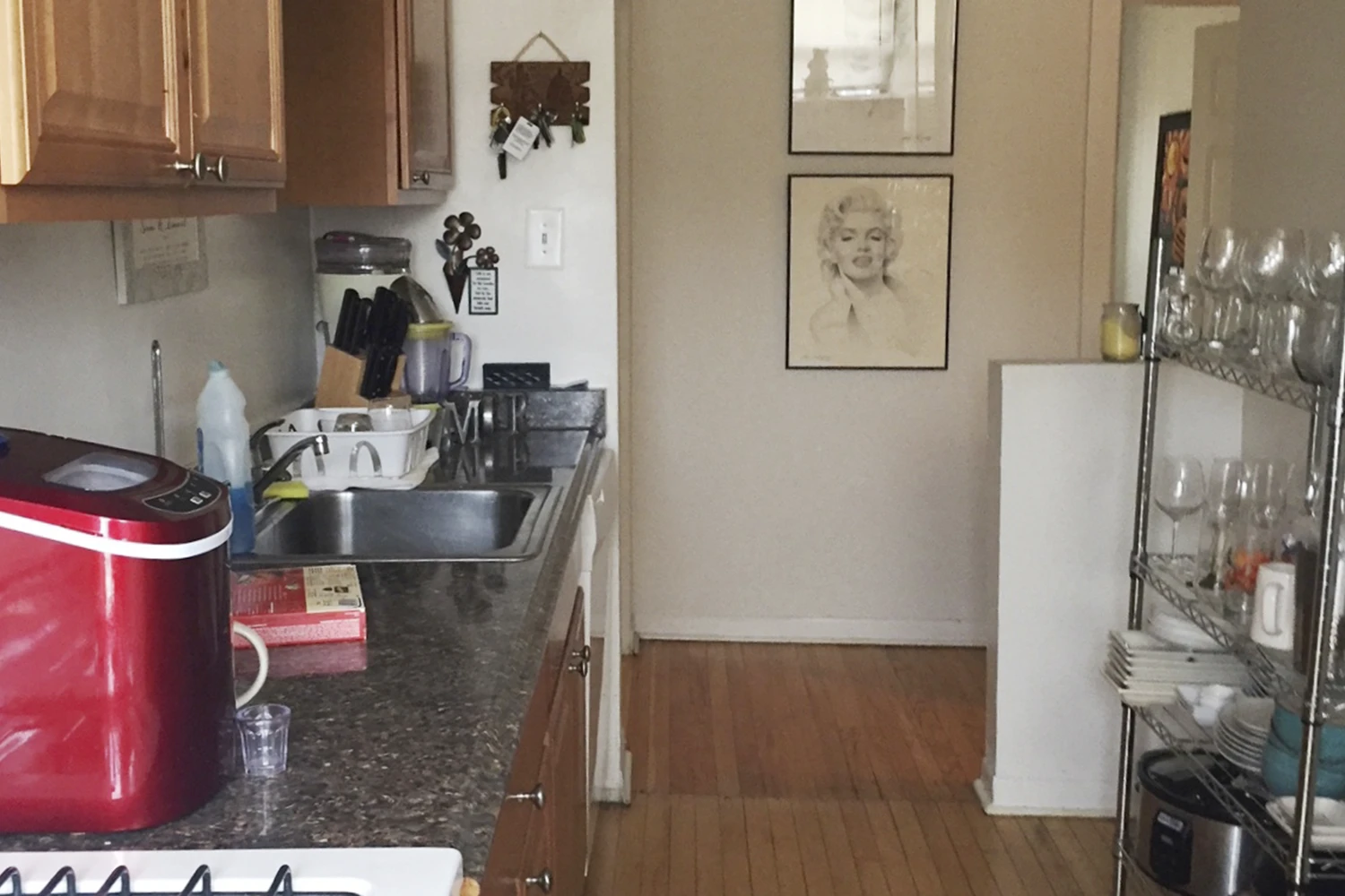 732 W Roscoe St Apt 3N, Chicago IL properties 724-32-w-roscoe-st-chicago-il-60657-lake-view 732-3n
