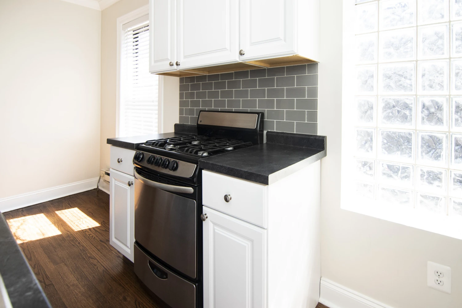 837 W Cornelia Ave Apt 1S, Chicago IL properties 837-39-w-cornelia-chicago-il-60657-lake-view 837-1s