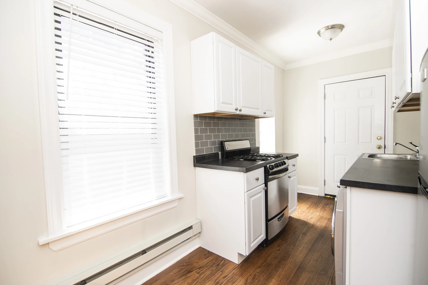 837 W Cornelia Ave Apt 1S, Chicago IL properties 837-39-w-cornelia-chicago-il-60657-lake-view 837-1s