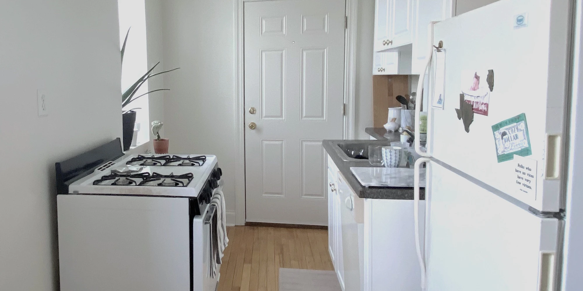 837 W Cornelia Ave Apt 3S, Chicago IL properties 837-39-w-cornelia-chicago-il-60657-lake-view 837-3s