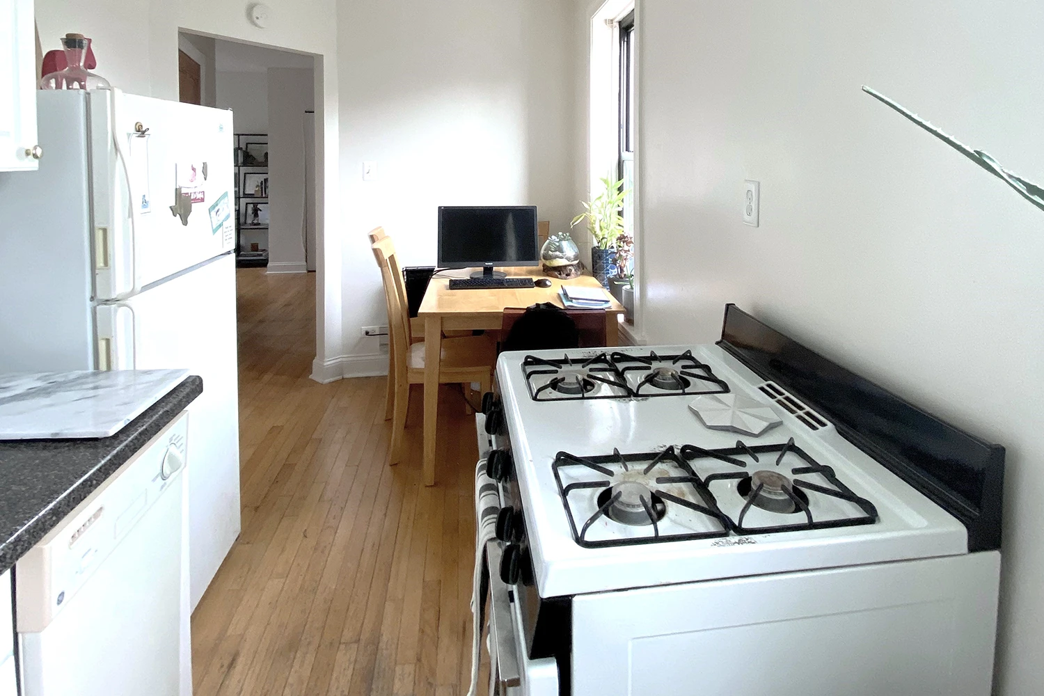 837 W Cornelia Ave Apt 3S, Chicago IL properties 837-39-w-cornelia-chicago-il-60657-lake-view 837-3s