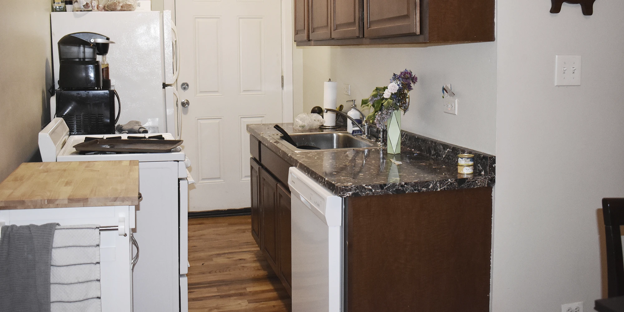 837.5 W Cornelia Ave Apt 1S, Chicago IL properties 837-39-w-cornelia-chicago-il-60657-lake-view 837-5-1s