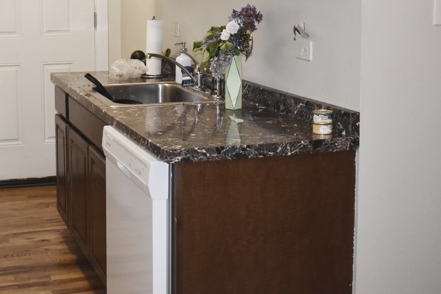 837.5 W Cornelia Ave Apt 1S, Chicago IL properties 837-39-w-cornelia-chicago-il-60657-lake-view 837-5-1s