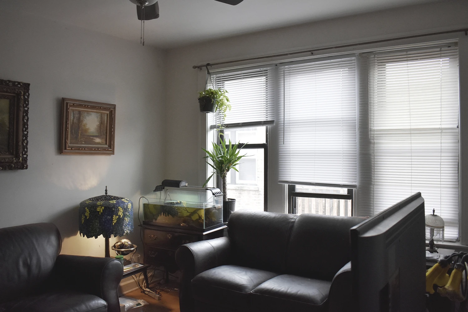 837.5 W Cornelia Ave Apt 3N, Chicago IL properties 837-39-w-cornelia-chicago-il-60657-lake-view 837-5-3n