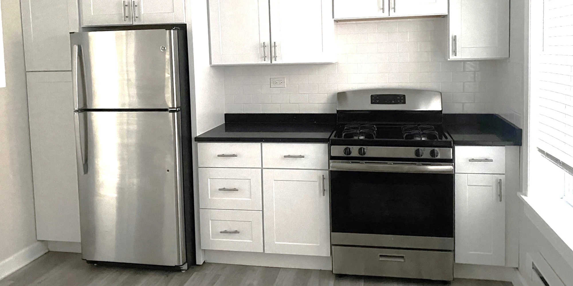 839 W Cornelia Ave Apt 1S, Chicago IL properties 837-39-w-cornelia-chicago-il-60657-lake-view 839-1s