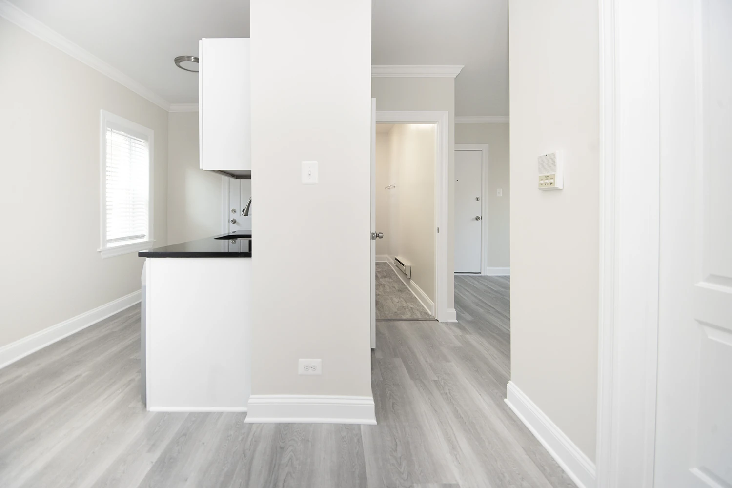 839 W Cornelia Ave Apt 3S, Chicago IL properties 837-39-w-cornelia-chicago-il-60657-lake-view 839-3s