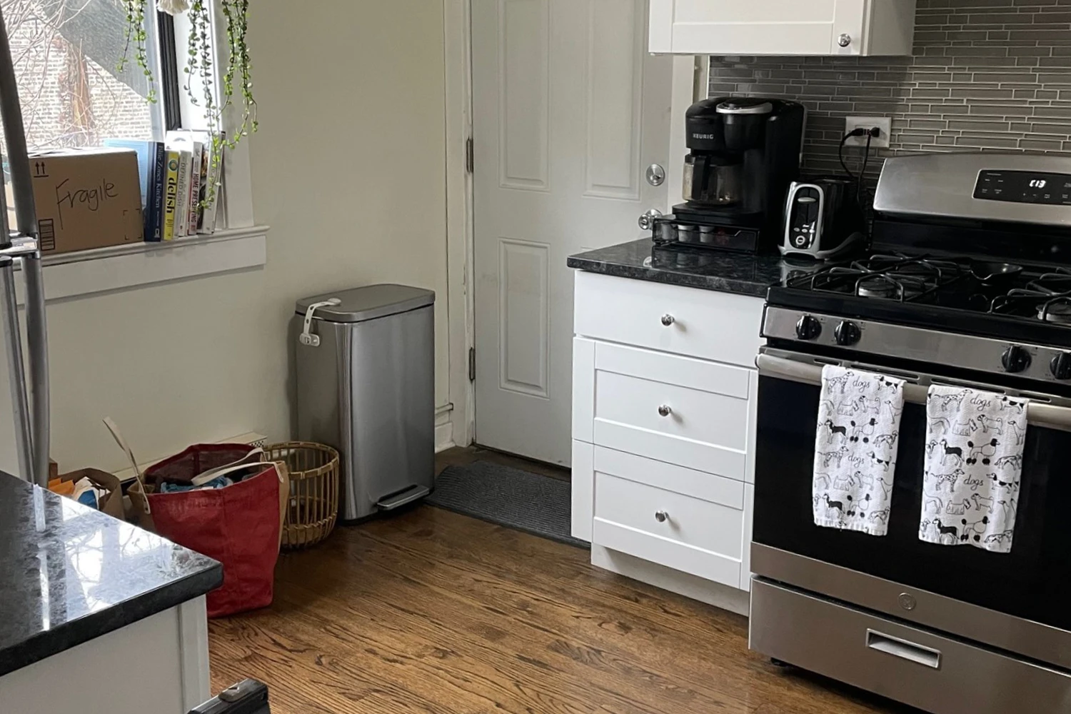 915 W Waveland Ave Apt 2, Chicago IL properties 915-23-w-waveland-chicago-il-60613-lake-view 915-2