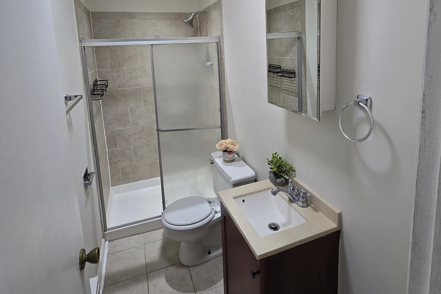 917 W Waveland Ave Apt 1A, Chicago IL properties 915-23-w-waveland-chicago-il-60613-lake-view 917-1a