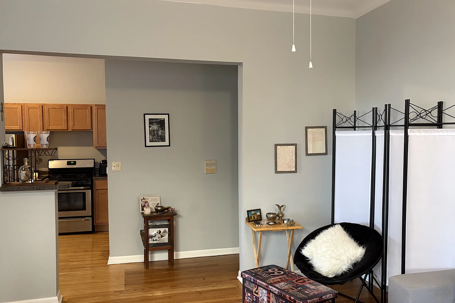 917 W Waveland Ave Apt 1C, Chicago IL properties 915-23-w-waveland-chicago-il-60613-lake-view 917-1c