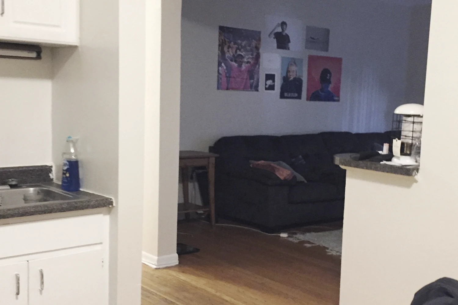 917 W Waveland Ave Apt 2C, Chicago IL properties 915-23-w-waveland-chicago-il-60613-lake-view 917-2c