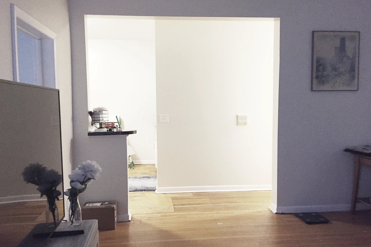 917 W Waveland Ave Apt 2C, Chicago IL properties 915-23-w-waveland-chicago-il-60613-lake-view 917-2c