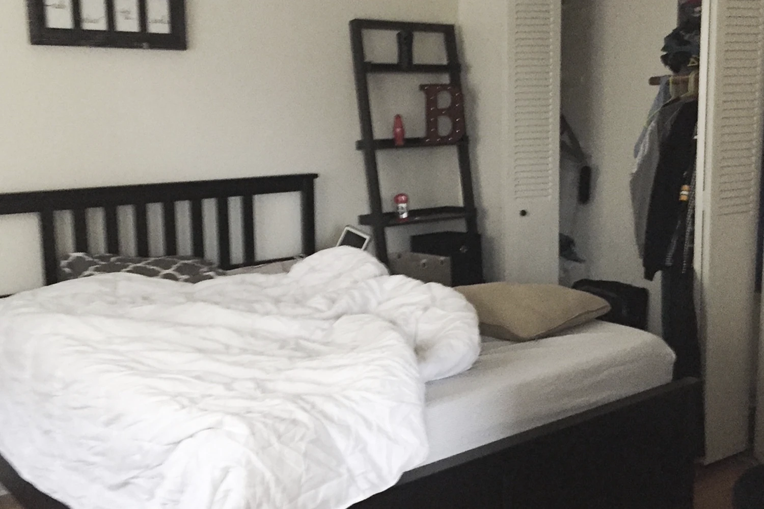 917 W Waveland Ave Apt 3A, Chicago IL properties 915-23-w-waveland-chicago-il-60613-lake-view 917-3a