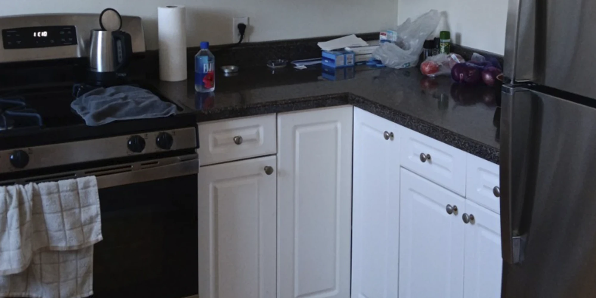 918 Green Bay Rd Apt 2I, Winnetka IL properties 916-20-green-bay-rd-winnetka-il-60093 918-2i