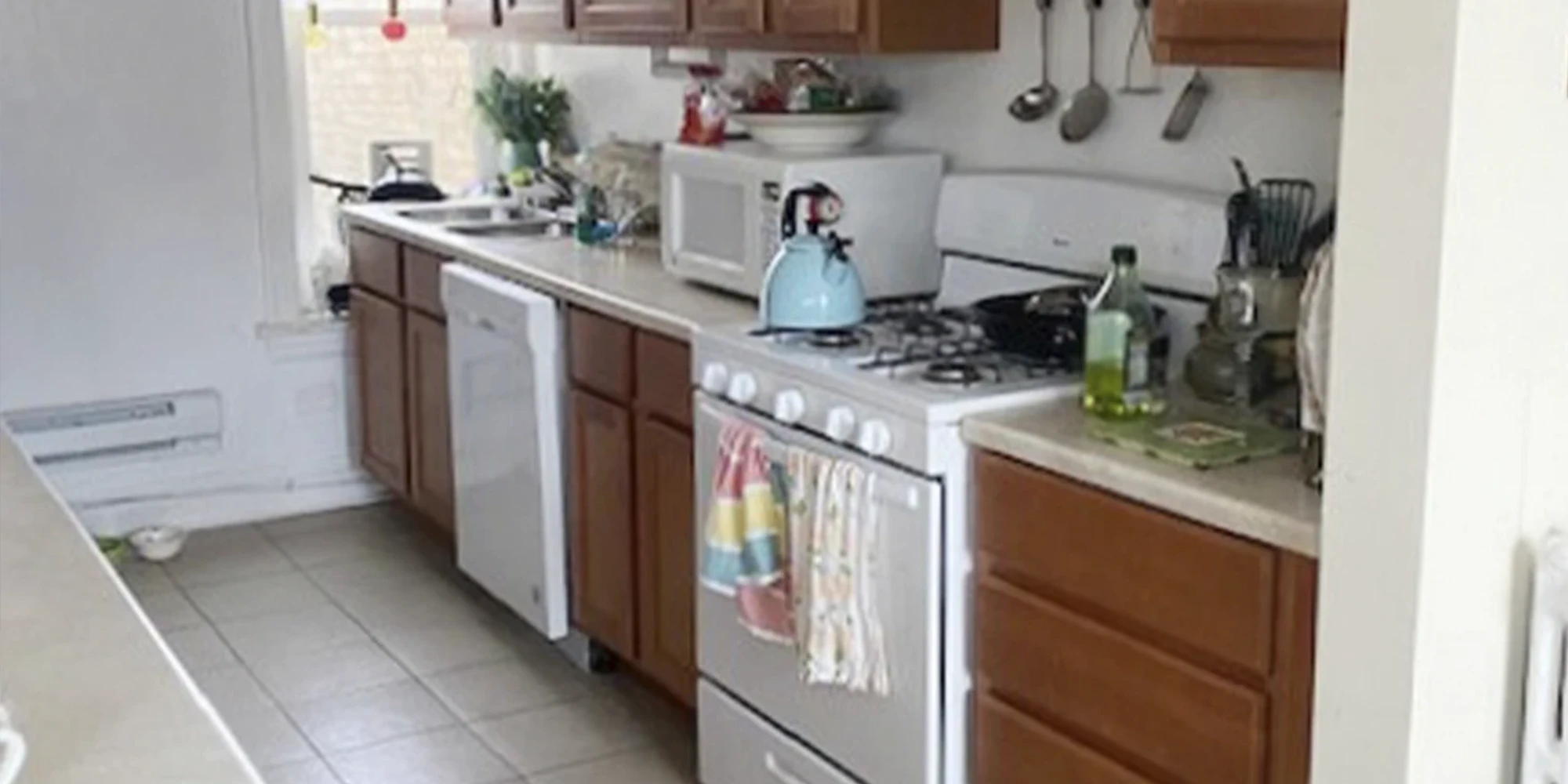 918 Green Bay Rd Apt 2L, Winnetka IL properties 916-20-green-bay-rd-winnetka-il-60093 918-2l   