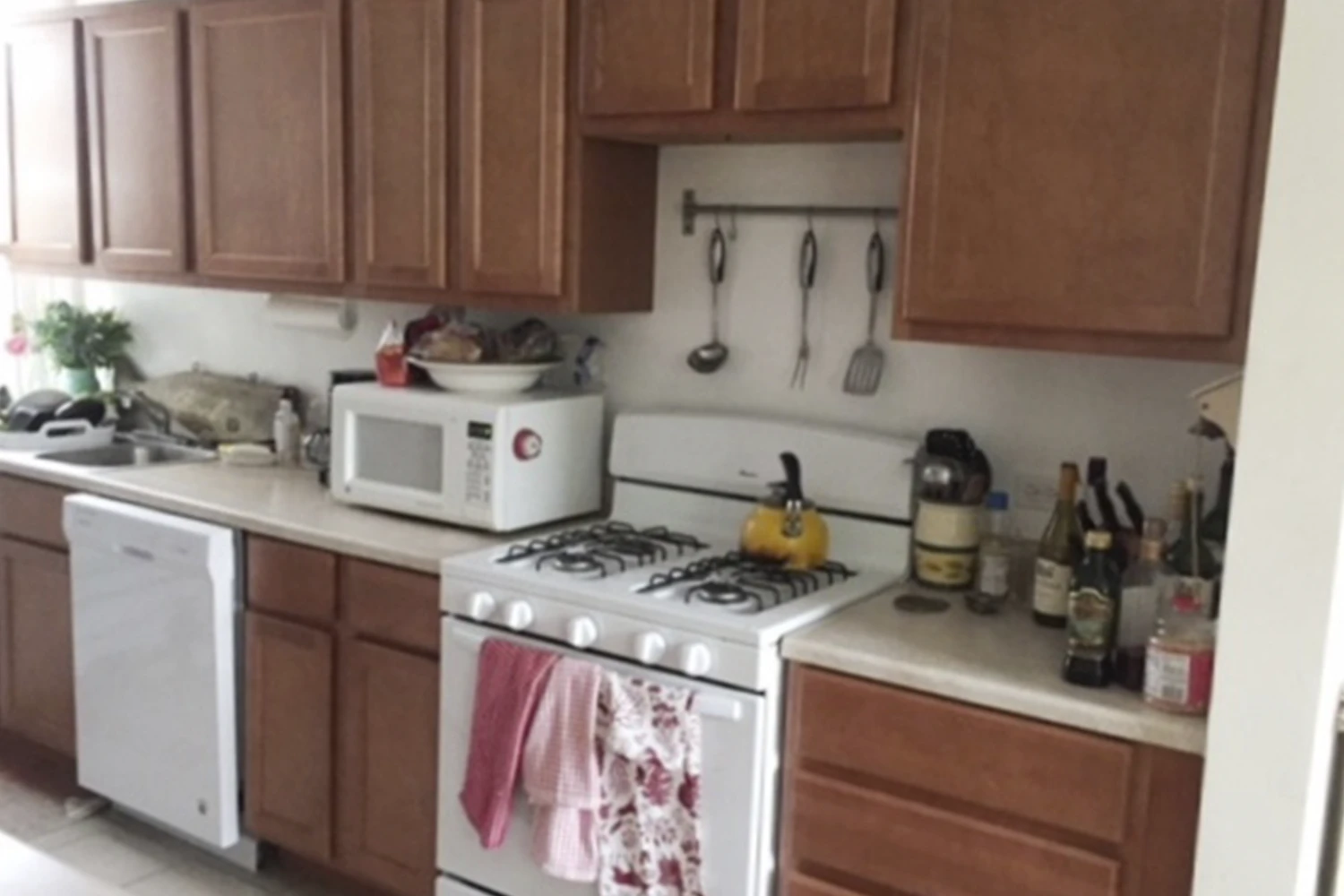 918 Green Bay Rd Apt 2L, Winnetka IL properties 916-20-green-bay-rd-winnetka-il-60093 918-2l   