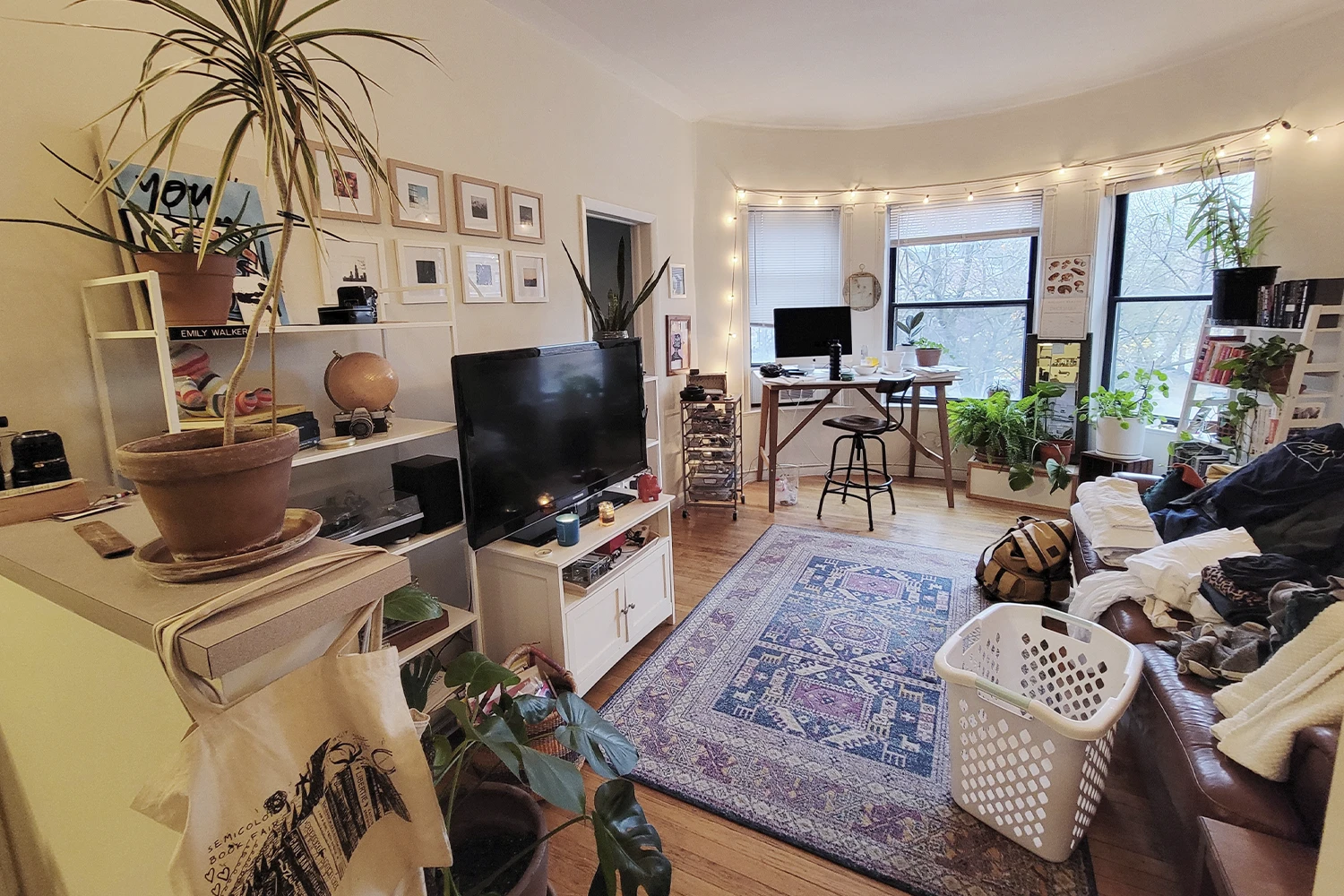 923 W Waveland Ave Apt 2D, Chicago IL properties 915-23-w-waveland-chicago-il-60613-lake-view 923-2d