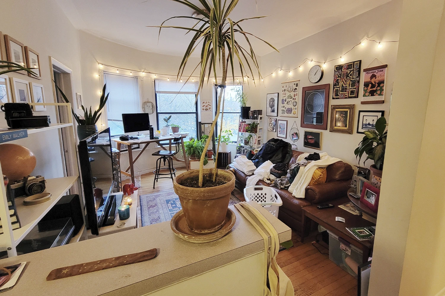923 W Waveland Ave Apt 2D, Chicago IL properties 915-23-w-waveland-chicago-il-60613-lake-view 923-2d