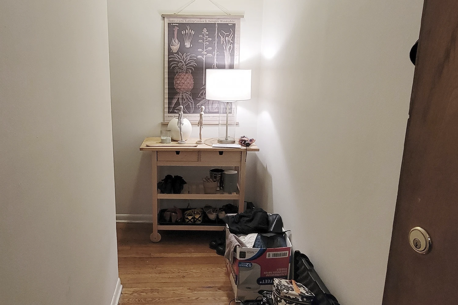 923 W Waveland Ave Apt 2D, Chicago IL properties 915-23-w-waveland-chicago-il-60613-lake-view 923-2d