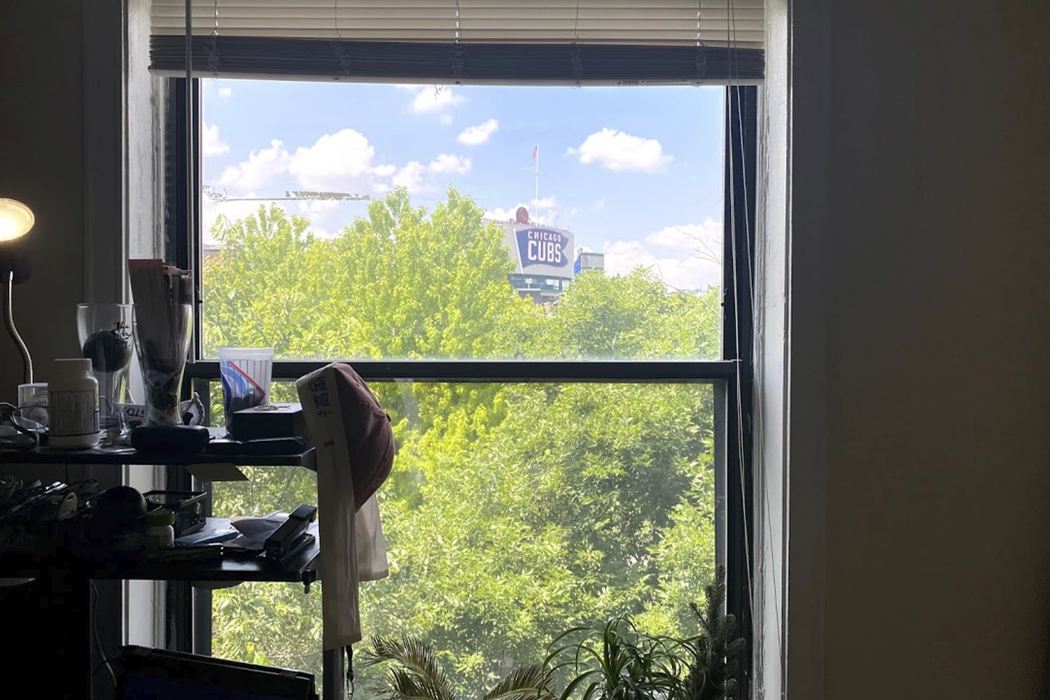 923 W Waveland Ave Apt 3D, Chicago IL properties 915-23-w-waveland-chicago-il-60613-lake-view 923-3d