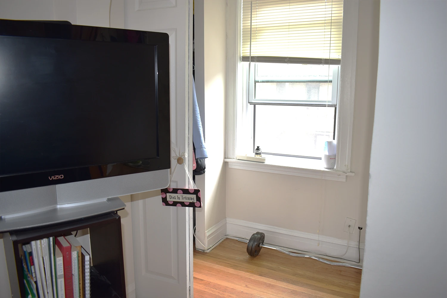 837 W Cornelia Ave Apt 2S, Chicago IL properties 837-39-w-cornelia-chicago-il-60657-lake-view 837-2s