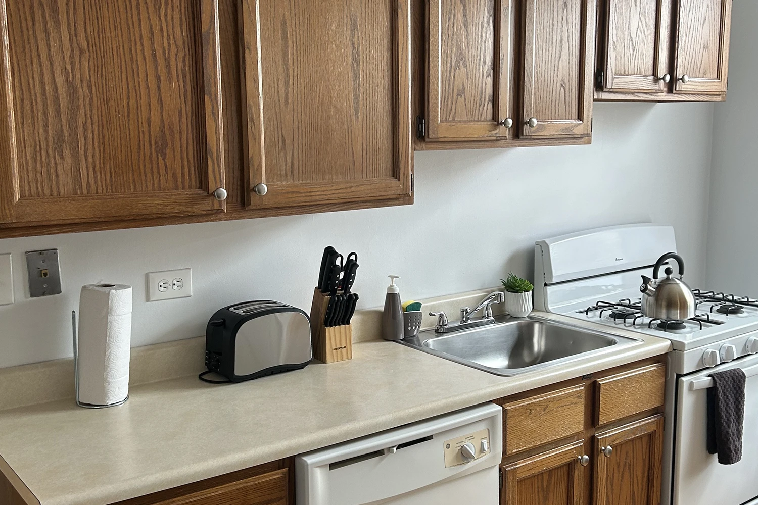 1909 W. Larchmont Ave Apt 3, Chicago IL properties 1909-13-w-larchmont-ave-chicago-il-60613-north-center 1909-3