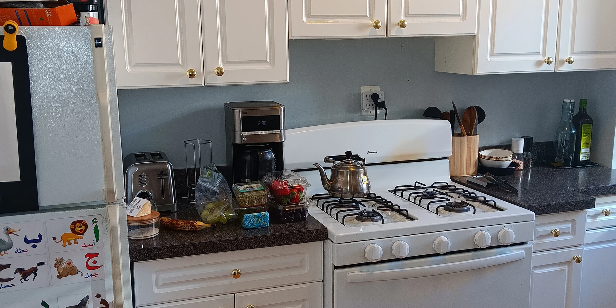 805 Judson St Apt 3, Evanston IL properties 325-31-kedzie-st-evanston-il-60202 805-3   